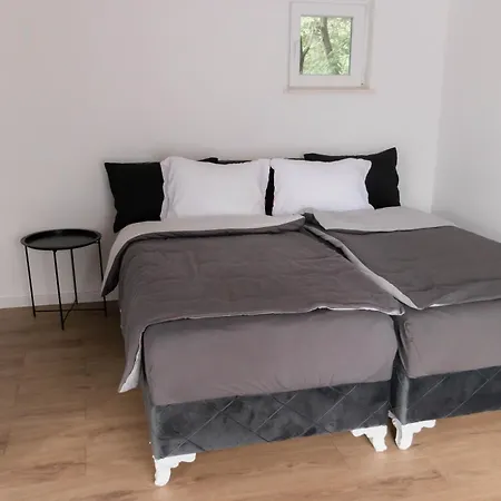 Jaman Cosy Saraievo